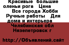 Красивые  большие оленьи рога › Цена ­ 3 000 - Все города Хобби. Ручные работы » Для дома и интерьера   . Челябинская обл.,Нязепетровск г.